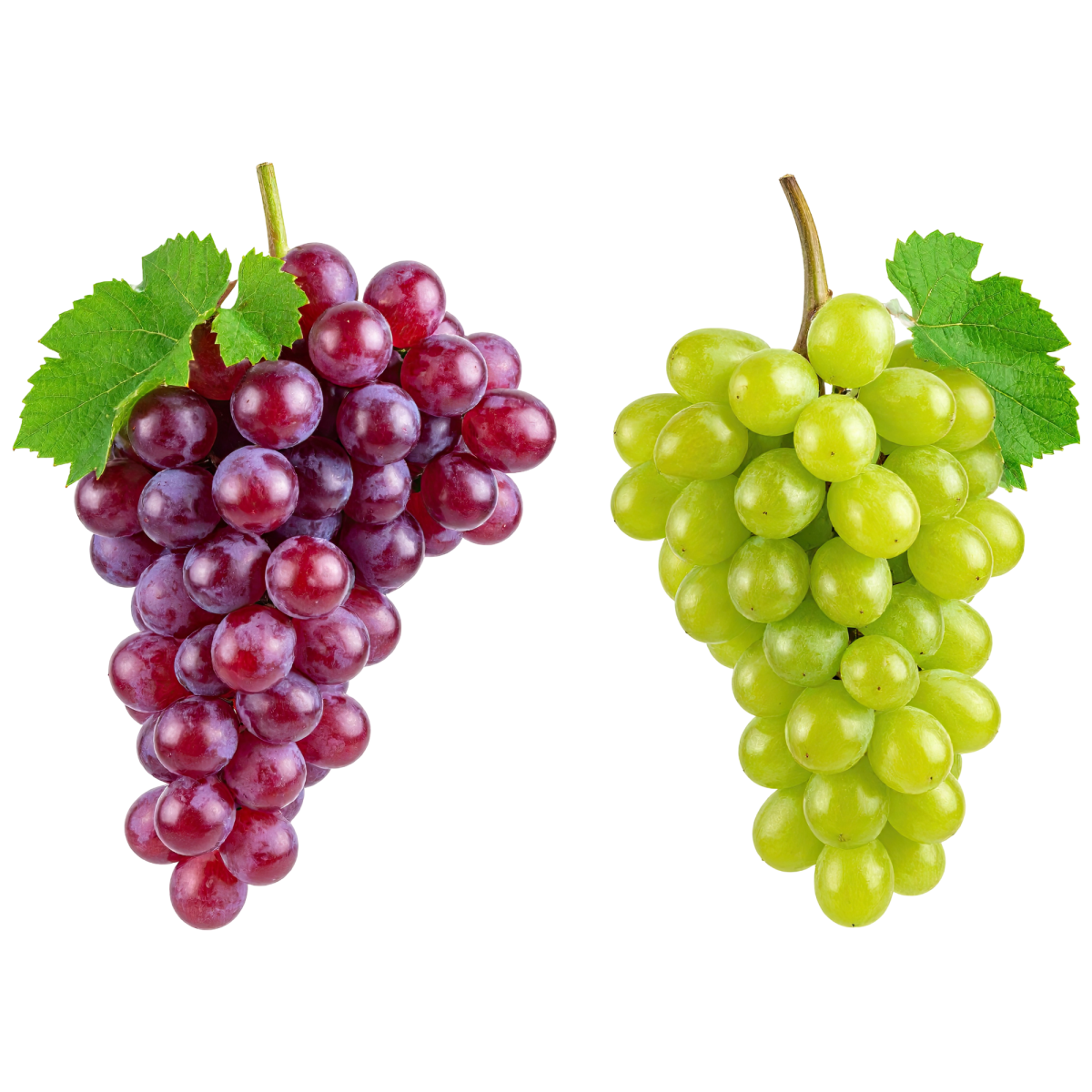 Grapes